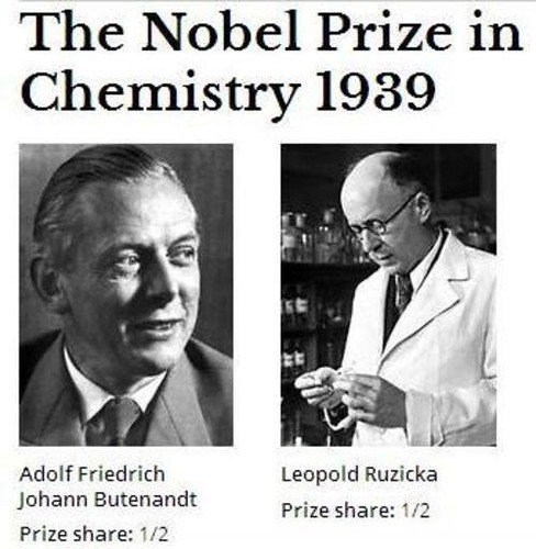 Photo of Nobel Prize winners Adolf Butenandt and Leopold Ruzicka, synthesizers of testosterone