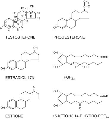 Structures of common steroid hormones