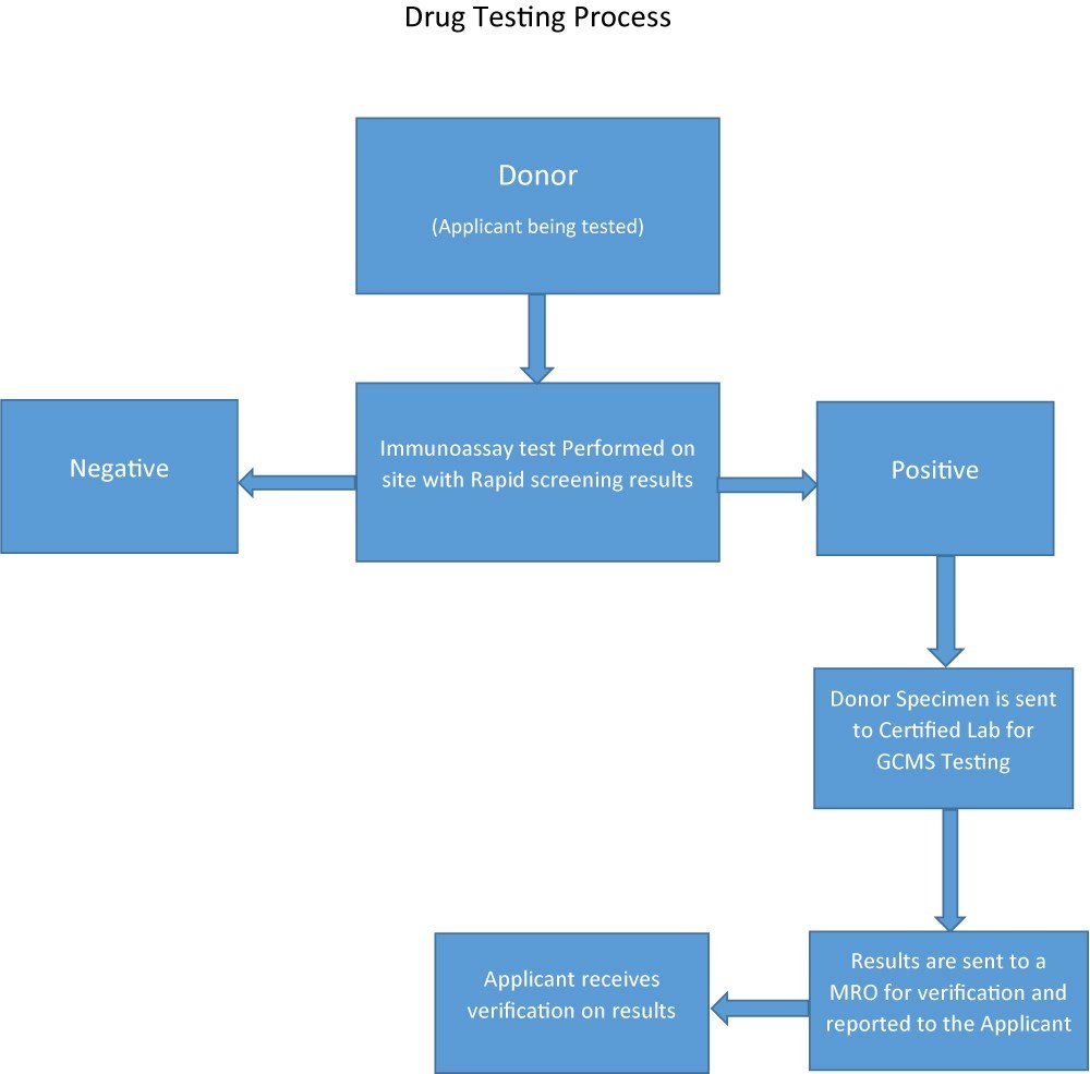 Flowchart for SARMs testing