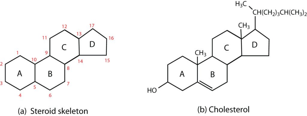 Steroid vs Cholesterol structure