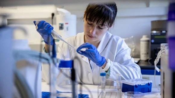 Researcher pipetting in a lab, illustrating experimental procedure in scientific study.